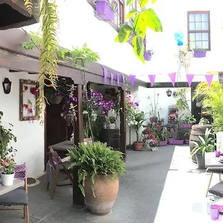 Séjour à la campagne Rural Casona Santo Domingo